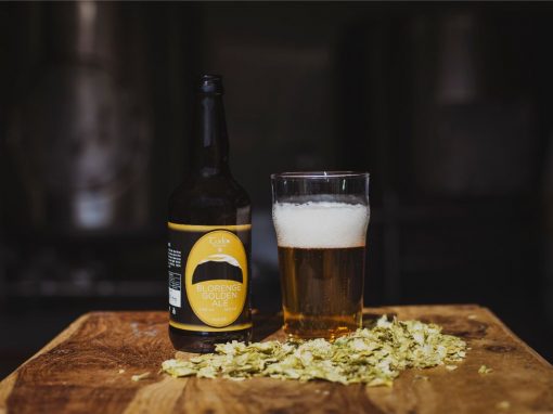 Tudor Brewery Blorenge Golden Ale In Glass